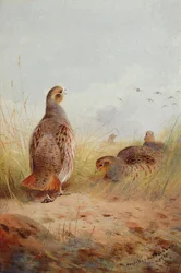 Trzy angielskie parki, 1910 (wc i gwasz na papierze)